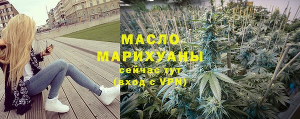гашик Новозыбков