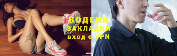 гашик Новозыбков