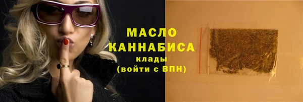 гашик Новозыбков