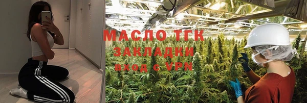 гашик Новозыбков