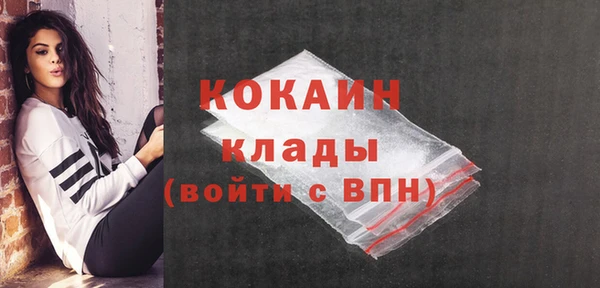 гашик Новозыбков