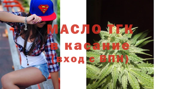 гашик Новозыбков