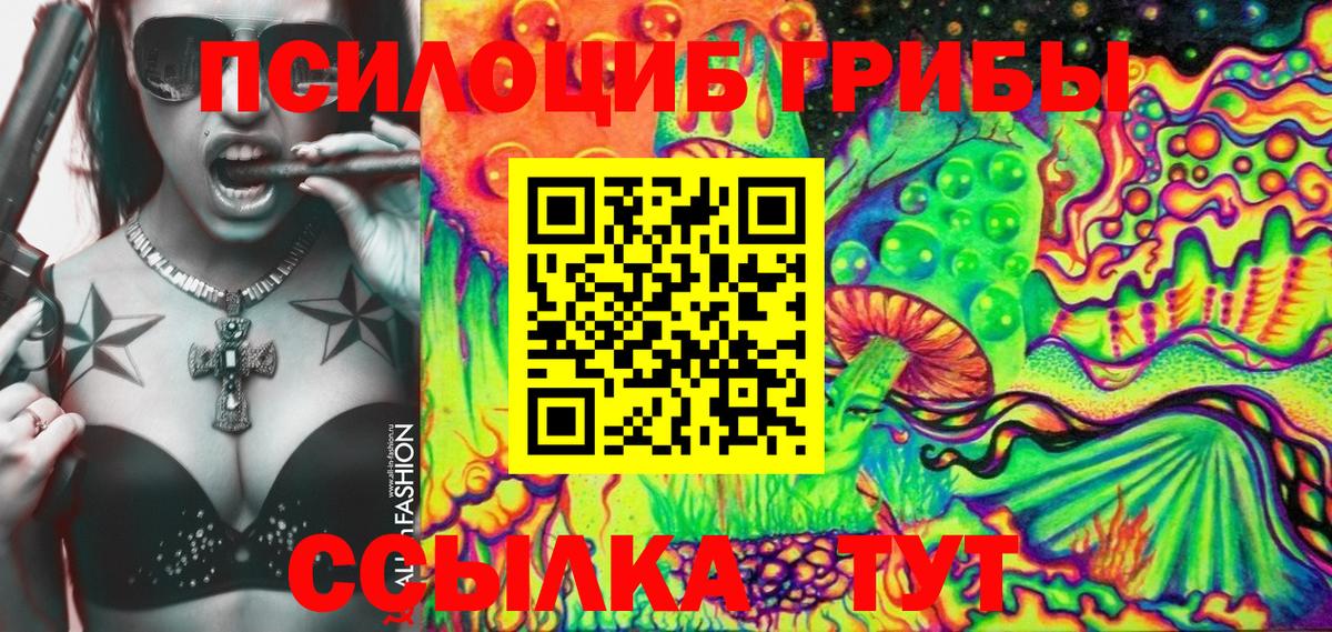 Псилоцибиновые грибы мухоморы Асино