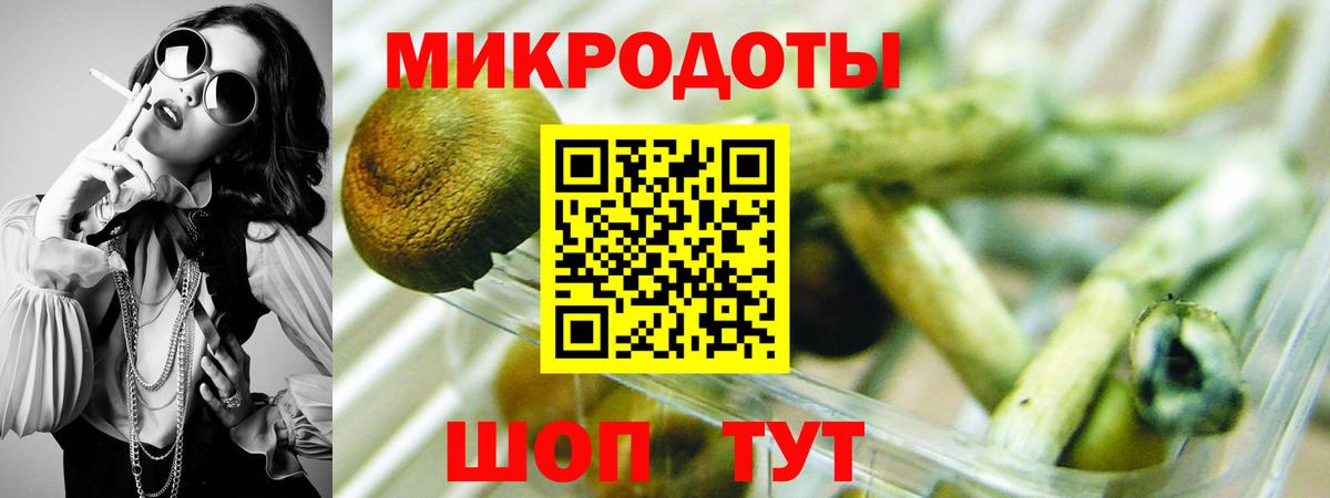 Галлюциногенные грибы Psilocybe  Асино  Галлюциногенные грибы прущие грибы 